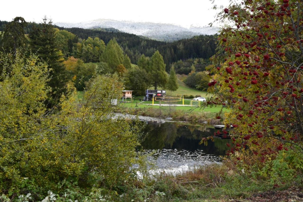 Ferienwohnung Familie Pichler Neumarkt in Steiermark Dış mekan fotoğraf