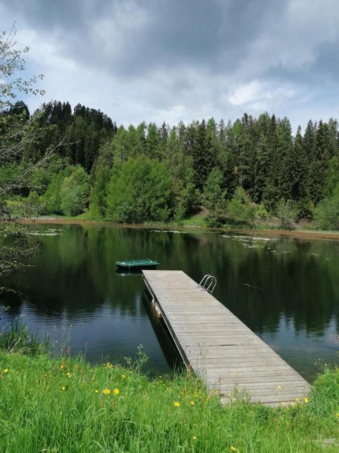 Ferienwohnung Familie Pichler Neumarkt in Steiermark Dış mekan fotoğraf