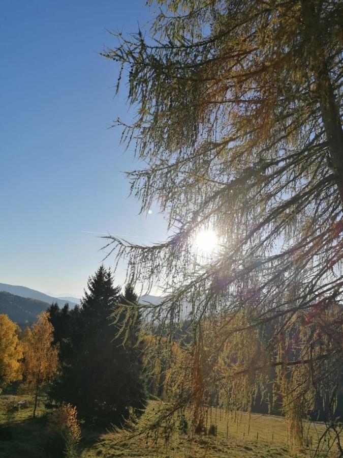 Ferienwohnung Familie Pichler Neumarkt in Steiermark Dış mekan fotoğraf